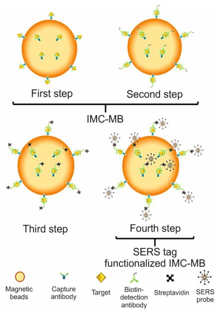 https://cdn.ncbi.nlm.nih.gov/pmc/blobs/2817/7997427/614596afea3c/biosensors-11-00066-g011.jpg