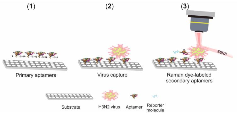 https://cdn.ncbi.nlm.nih.gov/pmc/blobs/2817/7997427/88eafbcd4f69/biosensors-11-00066-g010.jpg