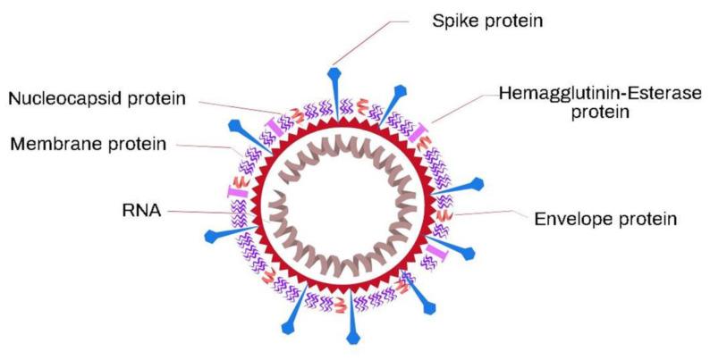 https://cdn.ncbi.nlm.nih.gov/pmc/blobs/2817/7997427/89e6e1e83020/biosensors-11-00066-g012.jpg