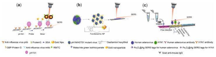 https://cdn.ncbi.nlm.nih.gov/pmc/blobs/2817/7997427/de5d91766b13/biosensors-11-00066-g005.jpg