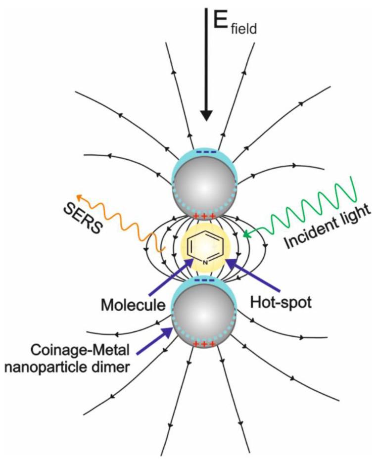 https://cdn.ncbi.nlm.nih.gov/pmc/blobs/2817/7997427/e78437622acb/biosensors-11-00066-g001.jpg