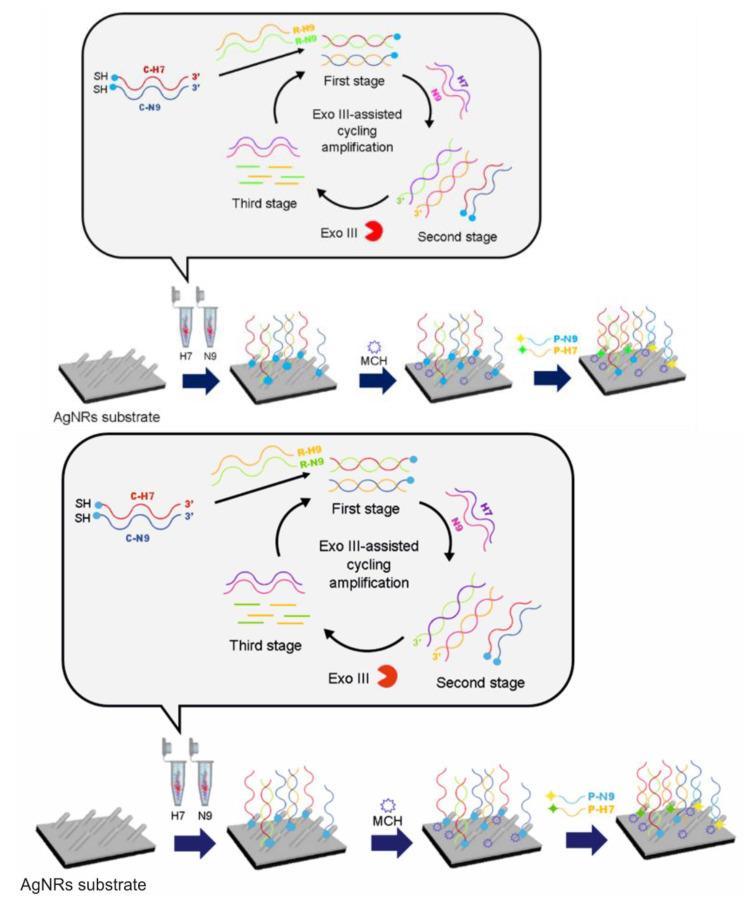 https://cdn.ncbi.nlm.nih.gov/pmc/blobs/2817/7997427/eb905cde1cee/biosensors-11-00066-g008.jpg