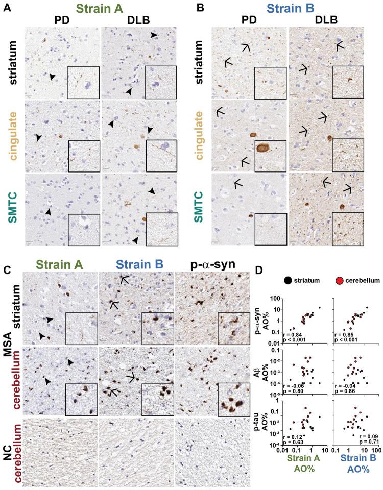 https://cdn.ncbi.nlm.nih.gov/pmc/blobs/2818/11451739/2cda4579505a/nihpp-rs5033901v1-f0007.jpg