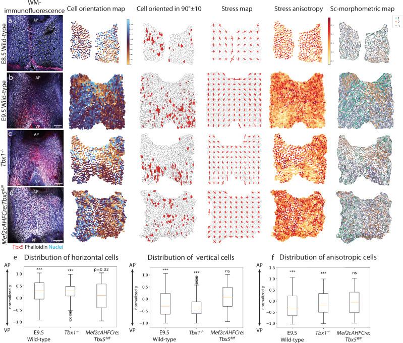 https://cdn.ncbi.nlm.nih.gov/pmc/blobs/2818/11535409/b694f13a5618/41467_2024_53612_Fig6_HTML.jpg