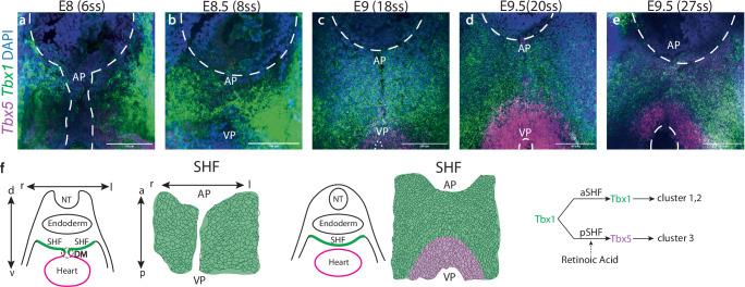 https://cdn.ncbi.nlm.nih.gov/pmc/blobs/2818/11535409/bc848fcc5a0c/41467_2024_53612_Fig4_HTML.jpg