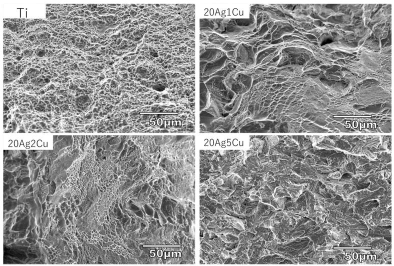 https://cdn.ncbi.nlm.nih.gov/pmc/blobs/2818/9781584/4830cea081b0/materials-15-09011-g007.jpg