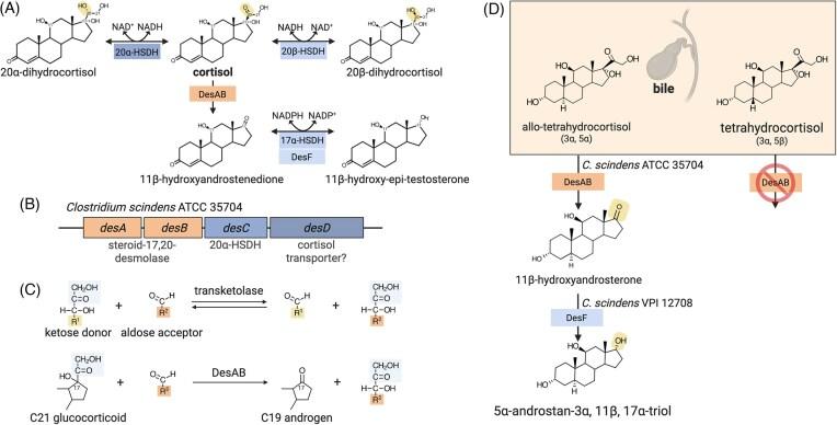 https://cdn.ncbi.nlm.nih.gov/pmc/blobs/2819/12065433/11bc8f70a54d/fuaf016fig8.jpg