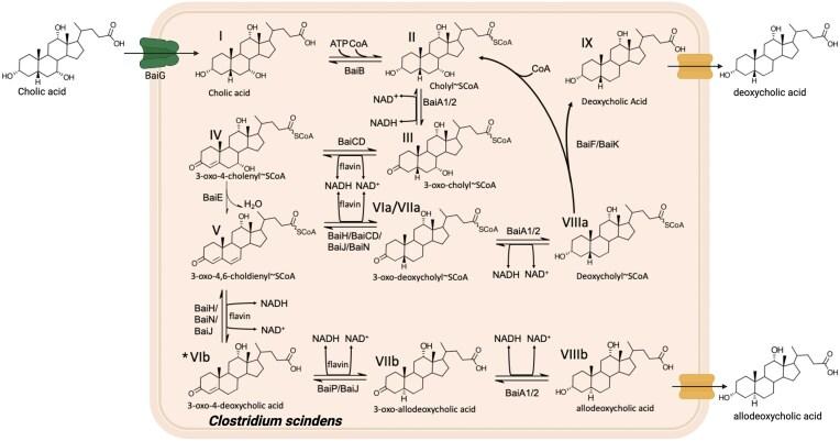 https://cdn.ncbi.nlm.nih.gov/pmc/blobs/2819/12065433/1b863d9acc70/fuaf016fig4.jpg