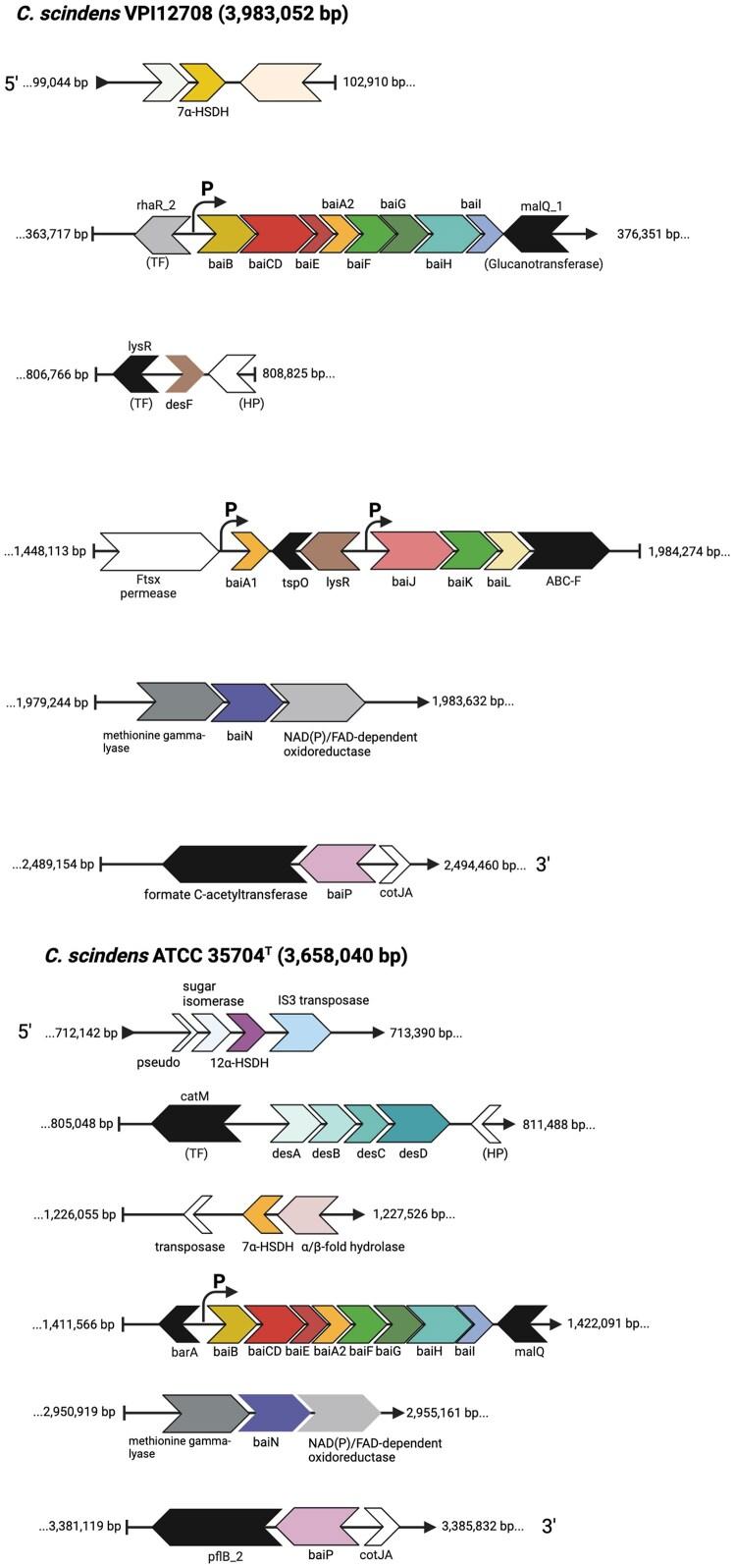 https://cdn.ncbi.nlm.nih.gov/pmc/blobs/2819/12065433/4ba0c26a3f00/fuaf016fig5.jpg