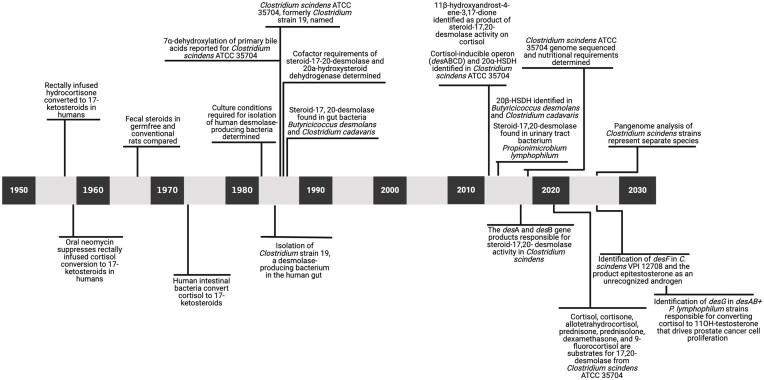 https://cdn.ncbi.nlm.nih.gov/pmc/blobs/2819/12065433/72c3a89c37ff/fuaf016fig2.jpg