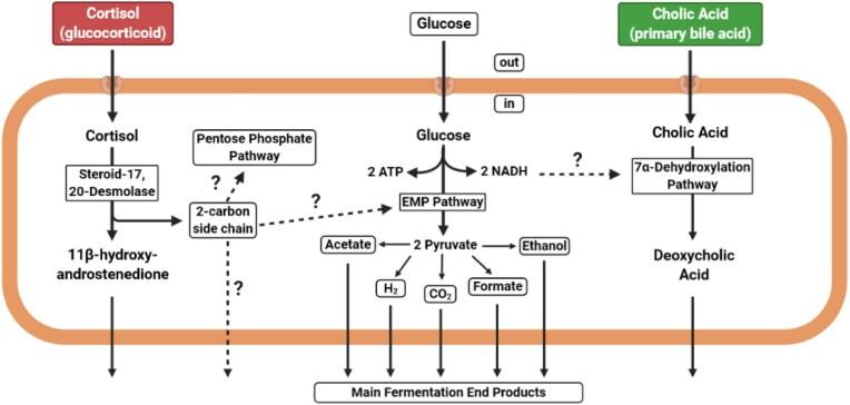 https://cdn.ncbi.nlm.nih.gov/pmc/blobs/2819/12065433/81c4c042dfe7/fuaf016fig12.jpg
