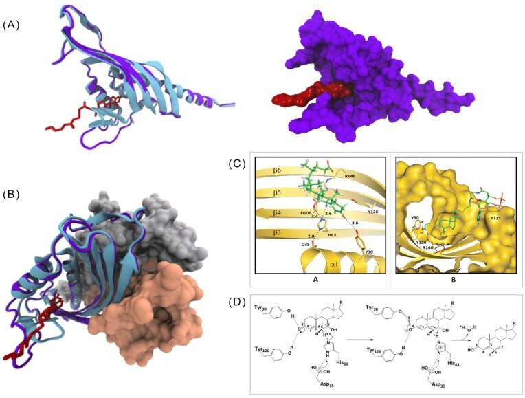 https://cdn.ncbi.nlm.nih.gov/pmc/blobs/2819/12065433/86f17b3f7672/fuaf016fig6.jpg
