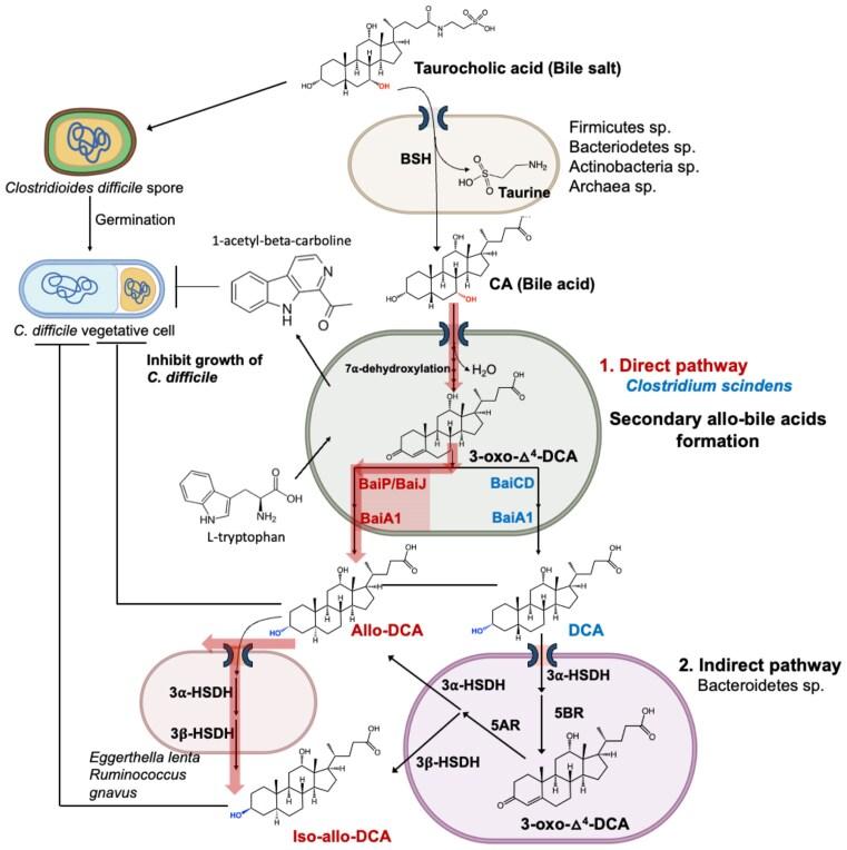 https://cdn.ncbi.nlm.nih.gov/pmc/blobs/2819/12065433/a5acf89479ca/fuaf016fig9.jpg