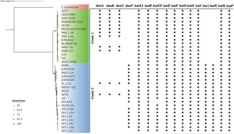 https://cdn.ncbi.nlm.nih.gov/pmc/blobs/2819/12065433/b4b5db6f033a/fuaf016fig10.jpg