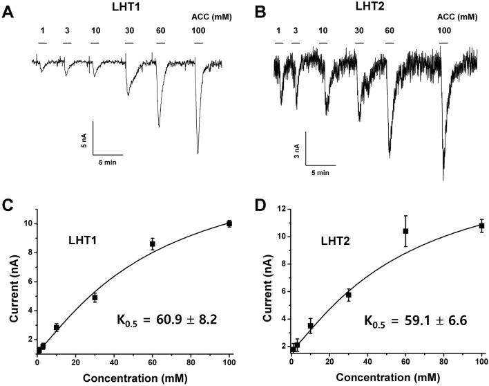 https://cdn.ncbi.nlm.nih.gov/pmc/blobs/2819/6749071/9d2b0c443e57/fpls-10-01092-g007.jpg