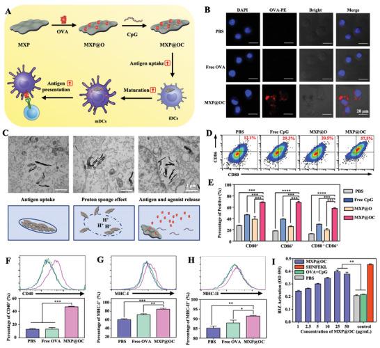 https://cdn.ncbi.nlm.nih.gov/pmc/blobs/281a/11468714/1b0ec072de19/ADHM-12-2203028-g005.jpg