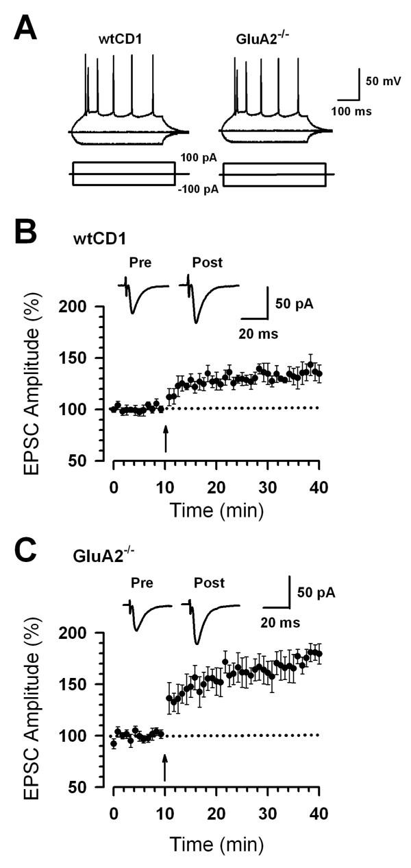 https://cdn.ncbi.nlm.nih.gov/pmc/blobs/281c/2734546/3abafcaefe5b/1744-8069-5-46-4.jpg
