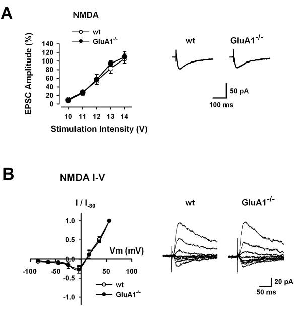https://cdn.ncbi.nlm.nih.gov/pmc/blobs/281c/2734546/981de64976a5/1744-8069-5-46-3.jpg