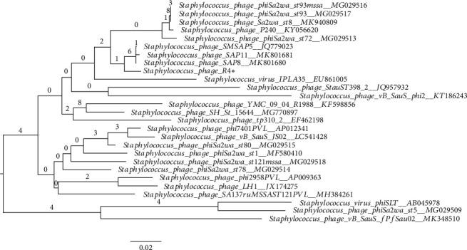 https://cdn.ncbi.nlm.nih.gov/pmc/blobs/281d/7773469/b7c0da108223/BMRI2020-5463801.002.jpg
