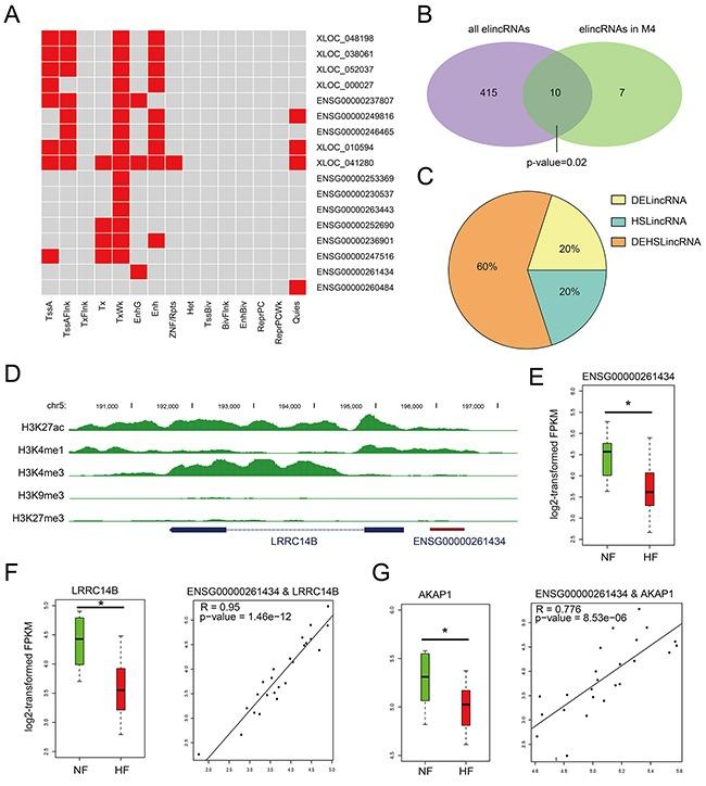 https://cdn.ncbi.nlm.nih.gov/pmc/blobs/281e/5312340/5ced206547f5/oncotarget-07-59676-g004.jpg