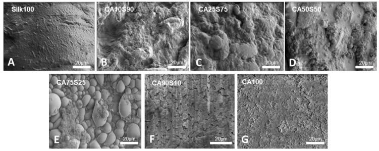 https://cdn.ncbi.nlm.nih.gov/pmc/blobs/281e/8433620/611a9dcae0ef/polymers-13-02911-g002.jpg
