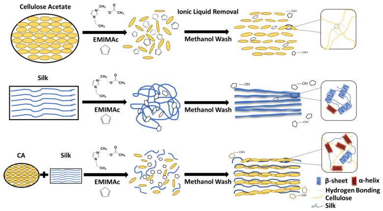 https://cdn.ncbi.nlm.nih.gov/pmc/blobs/281e/8433620/6dedcae18e2b/polymers-13-02911-g006.jpg