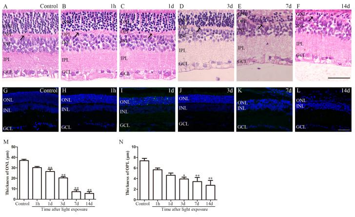 https://cdn.ncbi.nlm.nih.gov/pmc/blobs/2820/8100860/73fe9ae548bb/mv-v27-206-f1.jpg