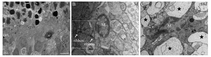 https://cdn.ncbi.nlm.nih.gov/pmc/blobs/2820/8100860/fe62cc5c24c8/mv-v27-206-f7.jpg