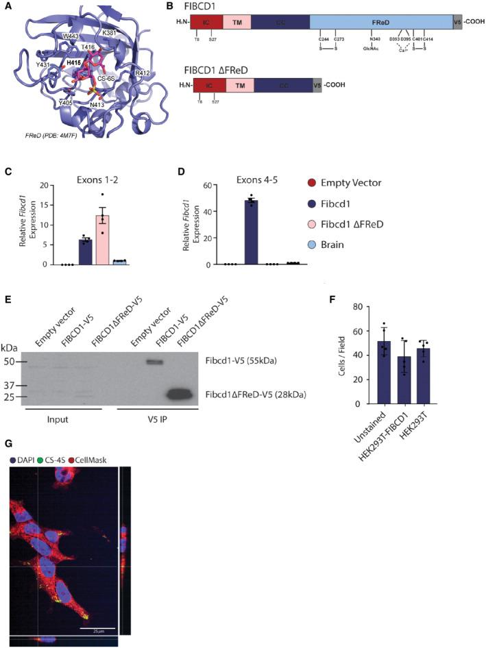 https://cdn.ncbi.nlm.nih.gov/pmc/blobs/2820/9449597/11997d843386/EMMM-14-e15829-g003.jpg