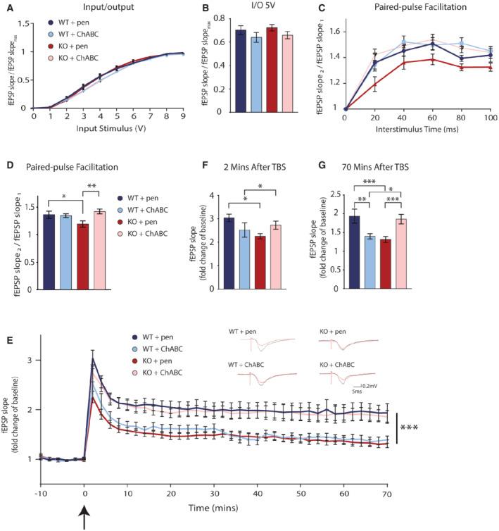 https://cdn.ncbi.nlm.nih.gov/pmc/blobs/2820/9449597/245fc615e9bf/EMMM-14-e15829-g007.jpg