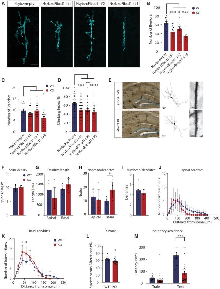 https://cdn.ncbi.nlm.nih.gov/pmc/blobs/2820/9449597/58d3adcfcd37/EMMM-14-e15829-g005.jpg