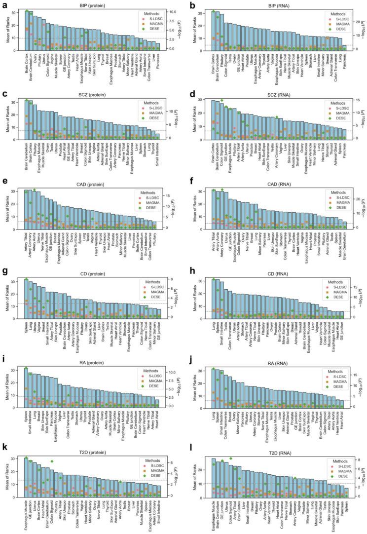https://cdn.ncbi.nlm.nih.gov/pmc/blobs/2822/12109507/769b0c353c4a/biology-14-00554-g003.jpg