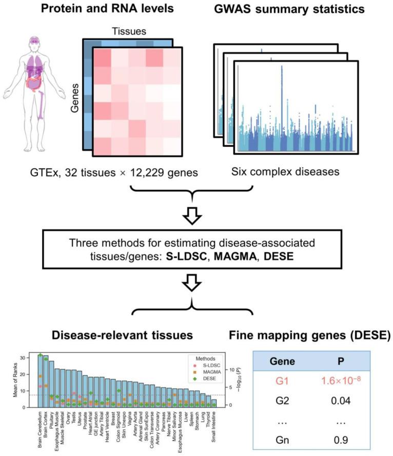 https://cdn.ncbi.nlm.nih.gov/pmc/blobs/2822/12109507/dd80ce137d96/biology-14-00554-g001.jpg