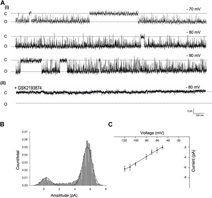 https://cdn.ncbi.nlm.nih.gov/pmc/blobs/2825/10618372/5cf20e4c16b5/fphar-14-1256924-g002.jpg