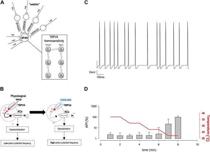 https://cdn.ncbi.nlm.nih.gov/pmc/blobs/2825/10618372/c9b39eeb7813/fphar-14-1256924-g005.jpg
