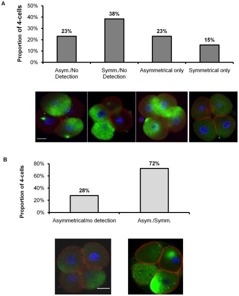https://cdn.ncbi.nlm.nih.gov/pmc/blobs/2825/2796167/119dcc2a6b11/pone.0008530.g004.jpg