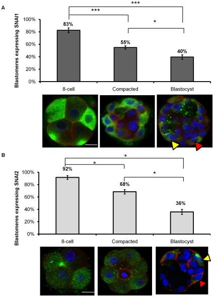 https://cdn.ncbi.nlm.nih.gov/pmc/blobs/2825/2796167/95d8c36b457a/pone.0008530.g005.jpg