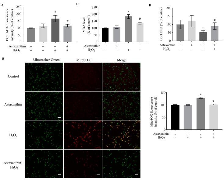 https://cdn.ncbi.nlm.nih.gov/pmc/blobs/2826/10890442/8a74ee374668/marinedrugs-22-00057-g003.jpg