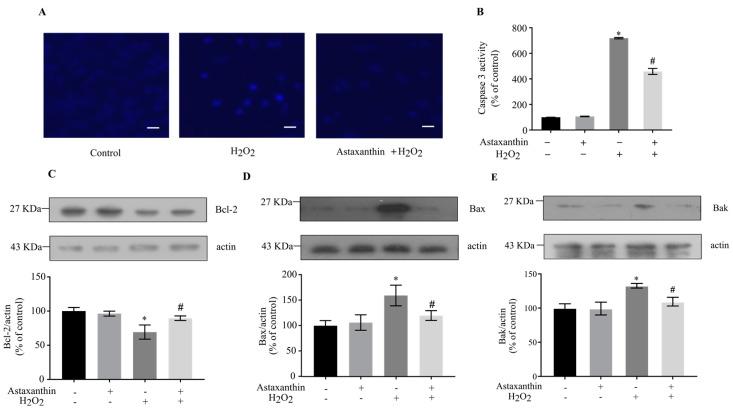 https://cdn.ncbi.nlm.nih.gov/pmc/blobs/2826/10890442/b6365ba4abe7/marinedrugs-22-00057-g002.jpg