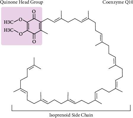 https://cdn.ncbi.nlm.nih.gov/pmc/blobs/2826/10959587/4381a9c5800d/IJE2024-2247748.001.jpg