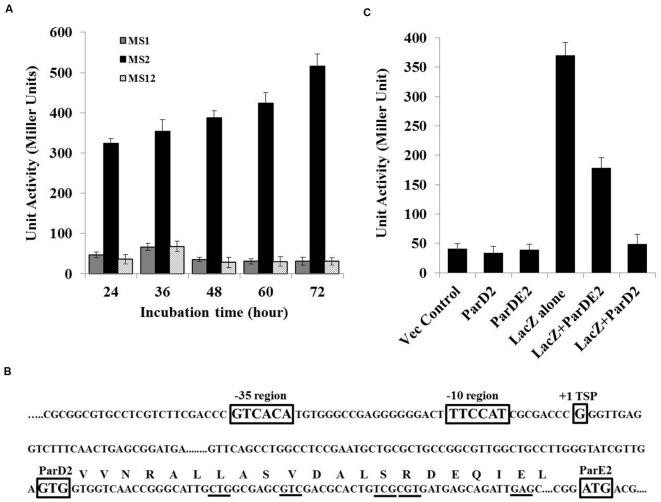 https://cdn.ncbi.nlm.nih.gov/pmc/blobs/282c/4906023/6650e2776a51/fmicb-07-00886-g002.jpg