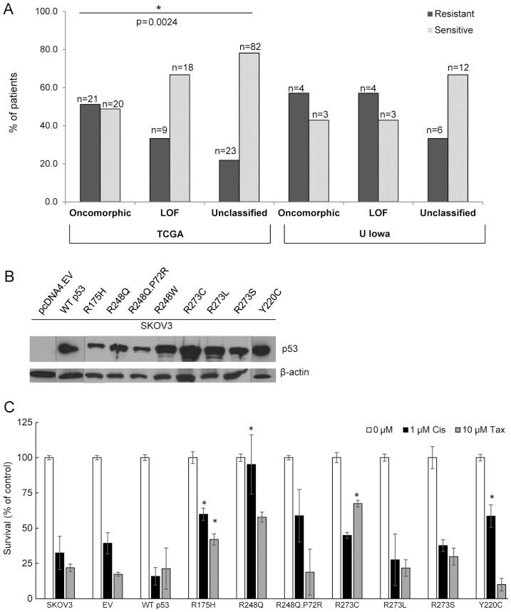 https://cdn.ncbi.nlm.nih.gov/pmc/blobs/282d/4277253/f8c1c1ca4517/IJO-46-02-0607-g04.jpg