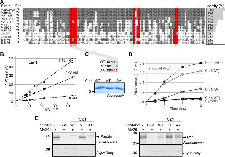 https://cdn.ncbi.nlm.nih.gov/pmc/blobs/282e/5014320/207935e18e75/ppat.1005874.g007.jpg