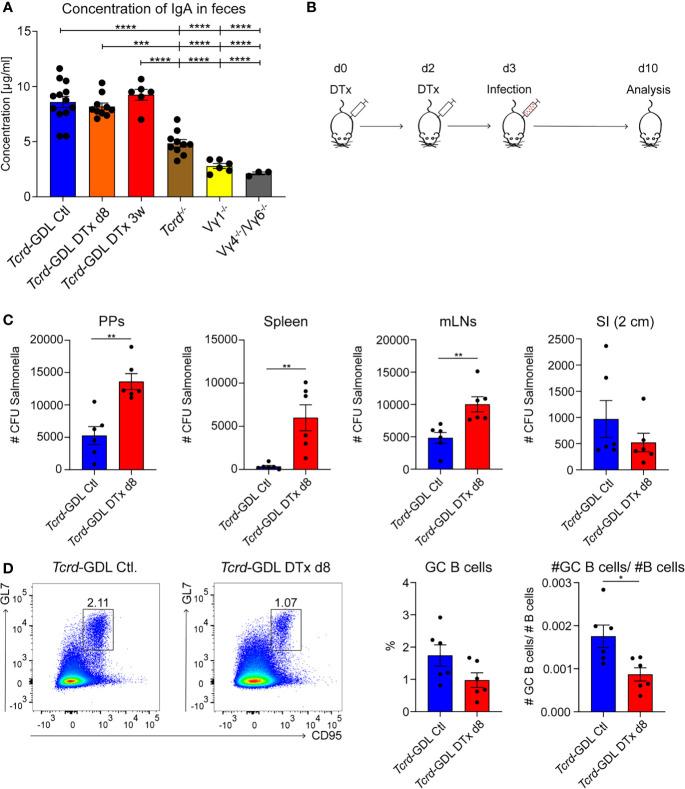 https://cdn.ncbi.nlm.nih.gov/pmc/blobs/2830/8600568/2c663a712670/fimmu-12-729607-g006.jpg