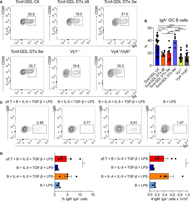 https://cdn.ncbi.nlm.nih.gov/pmc/blobs/2830/8600568/bb16d5637aca/fimmu-12-729607-g003.jpg