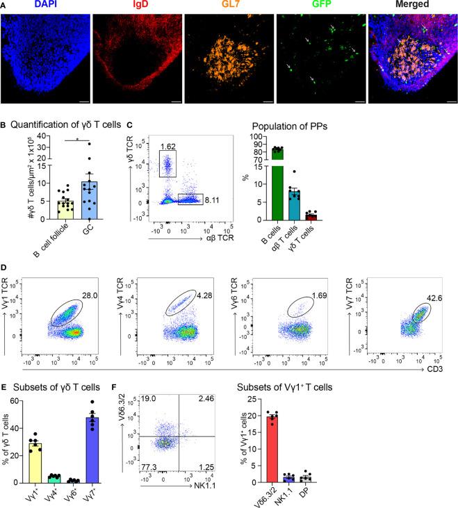 https://cdn.ncbi.nlm.nih.gov/pmc/blobs/2830/8600568/da5fd3141d34/fimmu-12-729607-g001.jpg