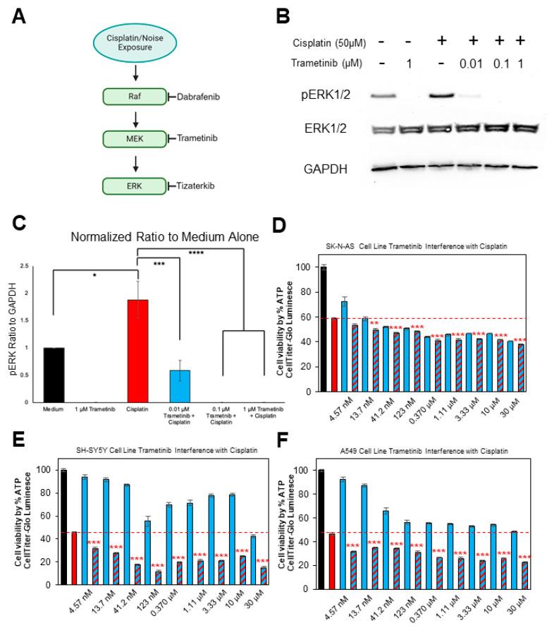 https://cdn.ncbi.nlm.nih.gov/pmc/blobs/2831/11206450/ab0930f01b2b/pharmaceuticals-17-00735-g001.jpg