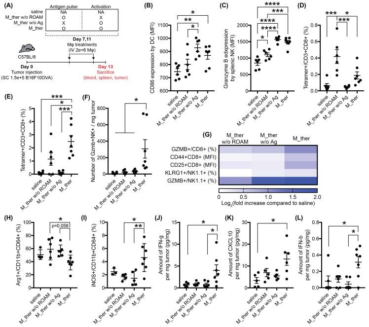 https://cdn.ncbi.nlm.nih.gov/pmc/blobs/2831/12104917/0c546b451f33/jitc-13-5-g005.jpg