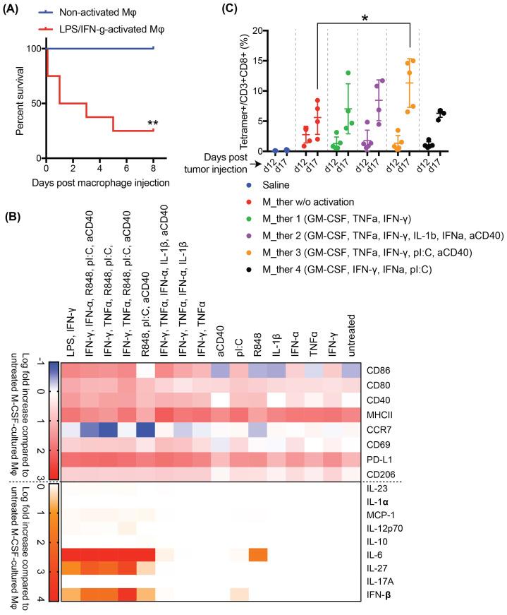 https://cdn.ncbi.nlm.nih.gov/pmc/blobs/2831/12104917/2ad1e1db848a/jitc-13-5-g002.jpg