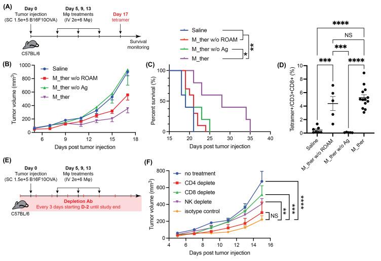 https://cdn.ncbi.nlm.nih.gov/pmc/blobs/2831/12104917/e6b7540d42a6/jitc-13-5-g004.jpg